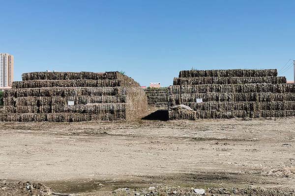 生物質(zhì)秸稈破碎機(jī)