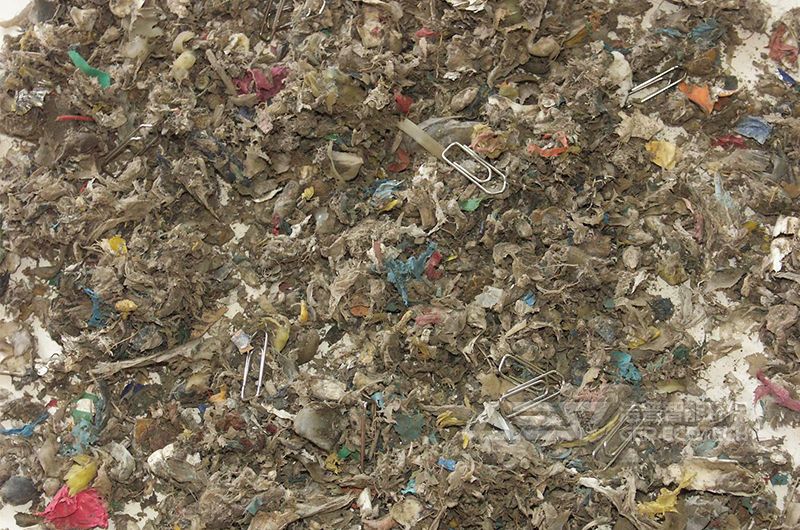 餐廚垃圾破碎后成品