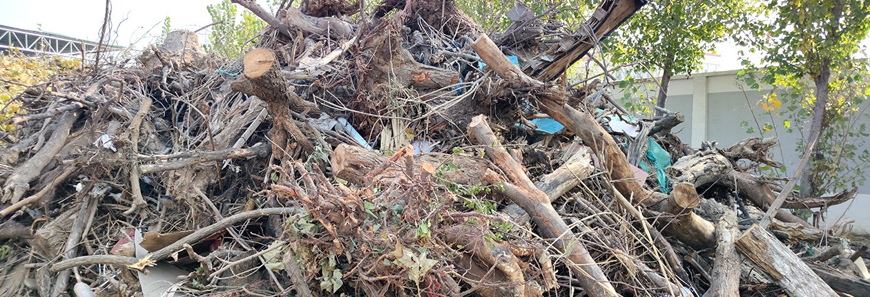 園林垃圾處理前