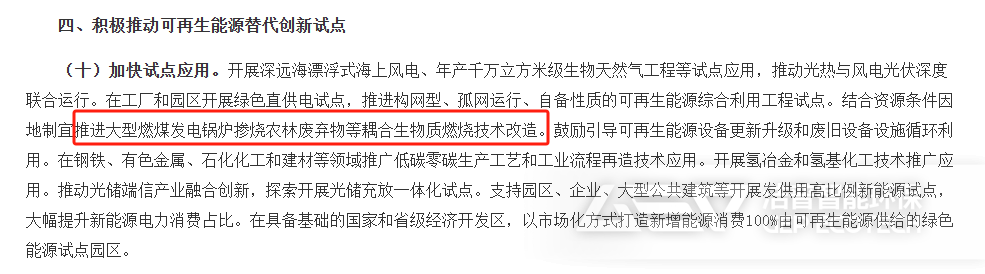 《關(guān)于大力實(shí)施可再生能源替代行動(dòng)的指導(dǎo)意見》