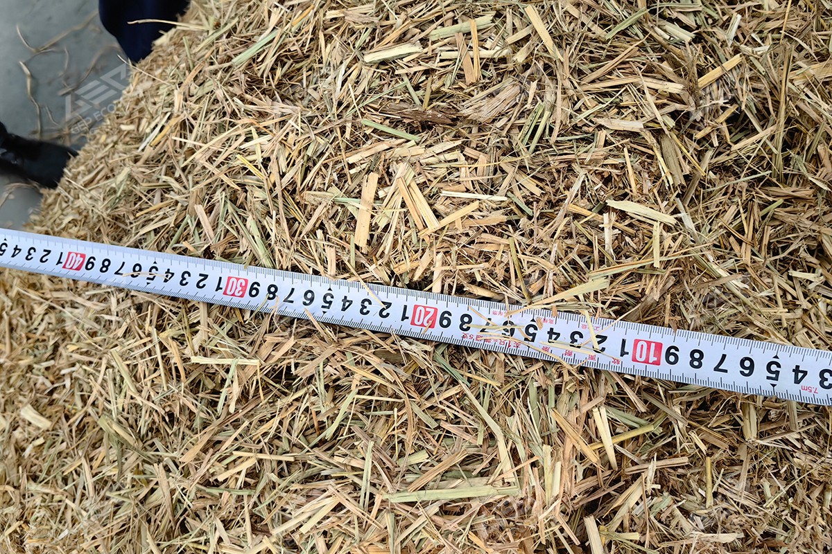 生物質(zhì)秸稈撕碎機后效果