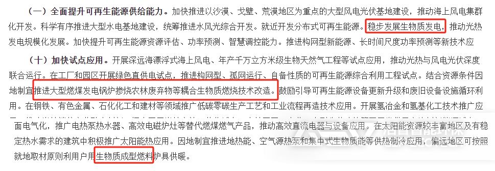 《關(guān)于大力實(shí)施可再生能源替代行動(dòng)的指導(dǎo)意見》