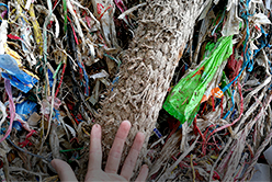 一般工業(yè)垃圾