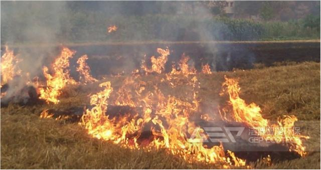 生物質(zhì)焚燒