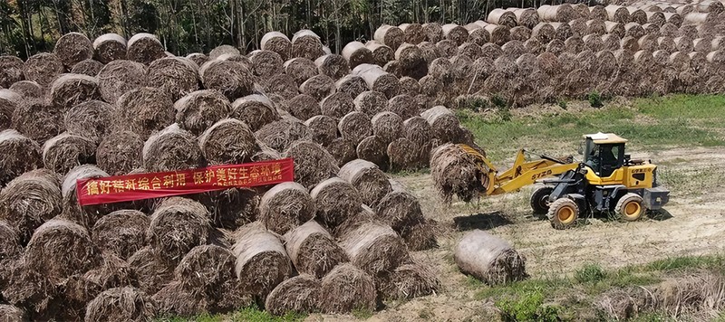 生物質(zhì)秸稈原料