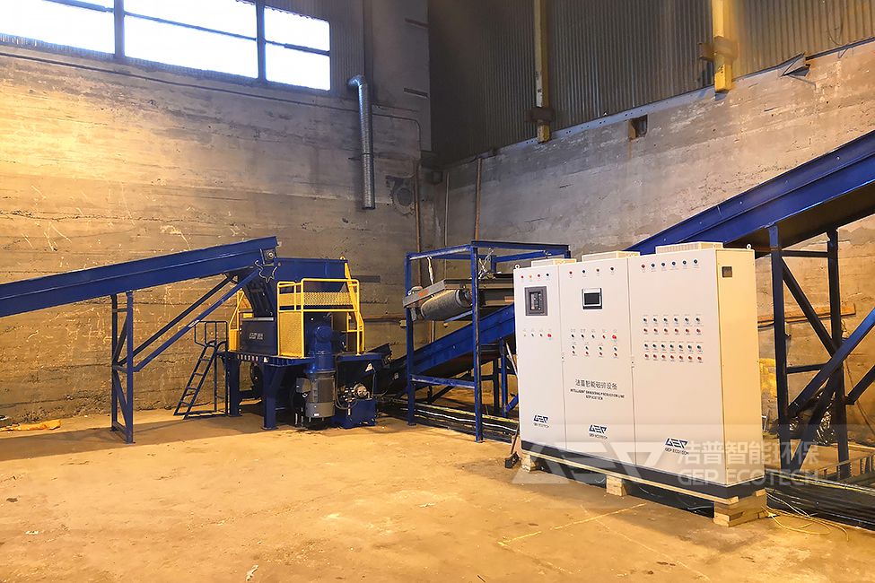 歐洲塑料垃圾處置生產線項目