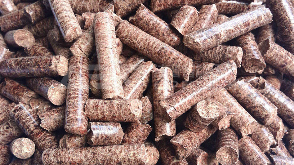 潔普智能環(huán)保生物質(zhì)發(fā)電項(xiàng)目現(xiàn)場